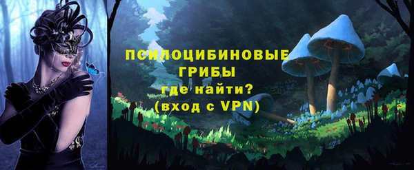 меф Осташков
